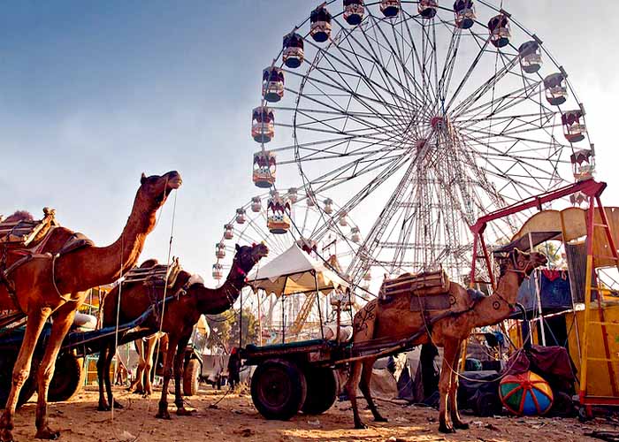 Pushkar Camel Fair – A World-Famous Livestock Fair