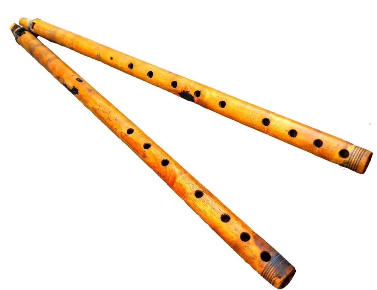 Traditional Folk Music of Rajasthan - Rajasthan Culture
