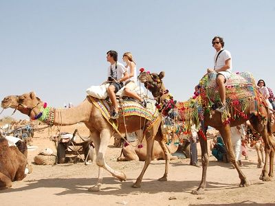 Camel Safari – Explore the Desert on a Traditional Camel Ride