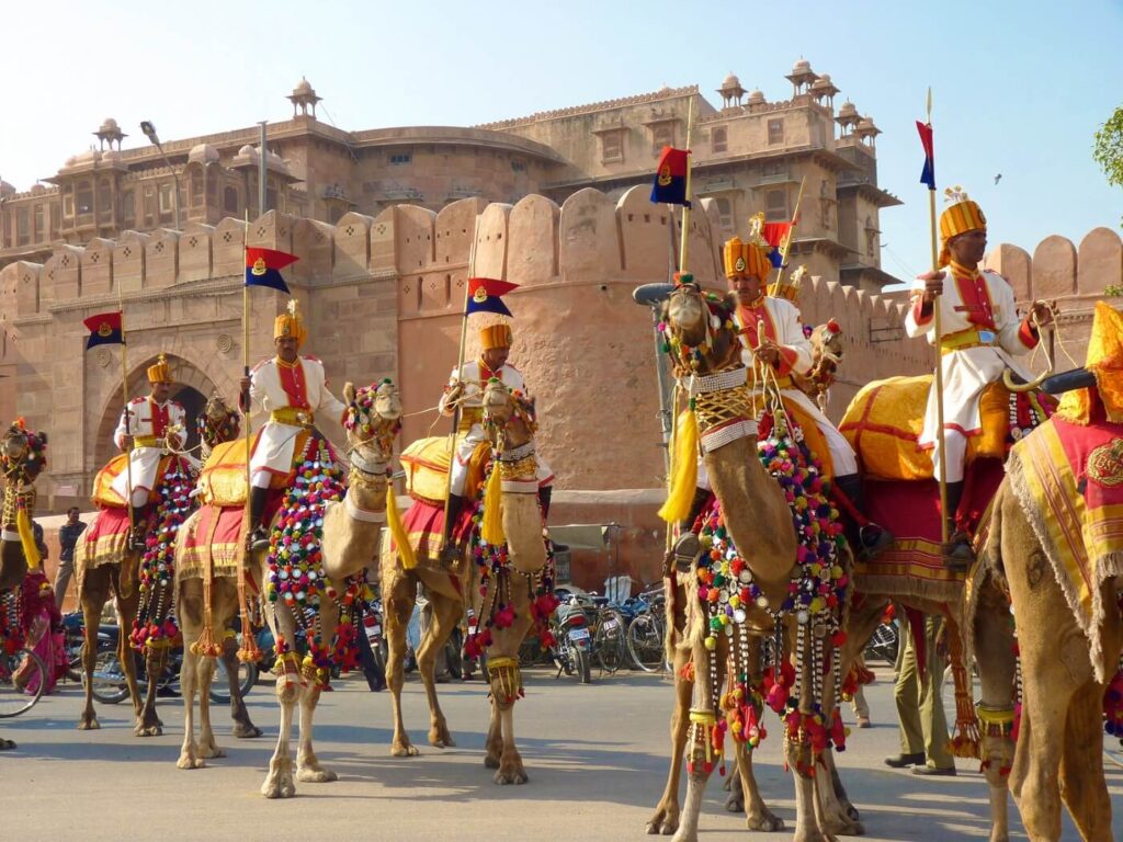 Bikaner Camel Festival – Celebrate the vibrant culture of Rajasthan