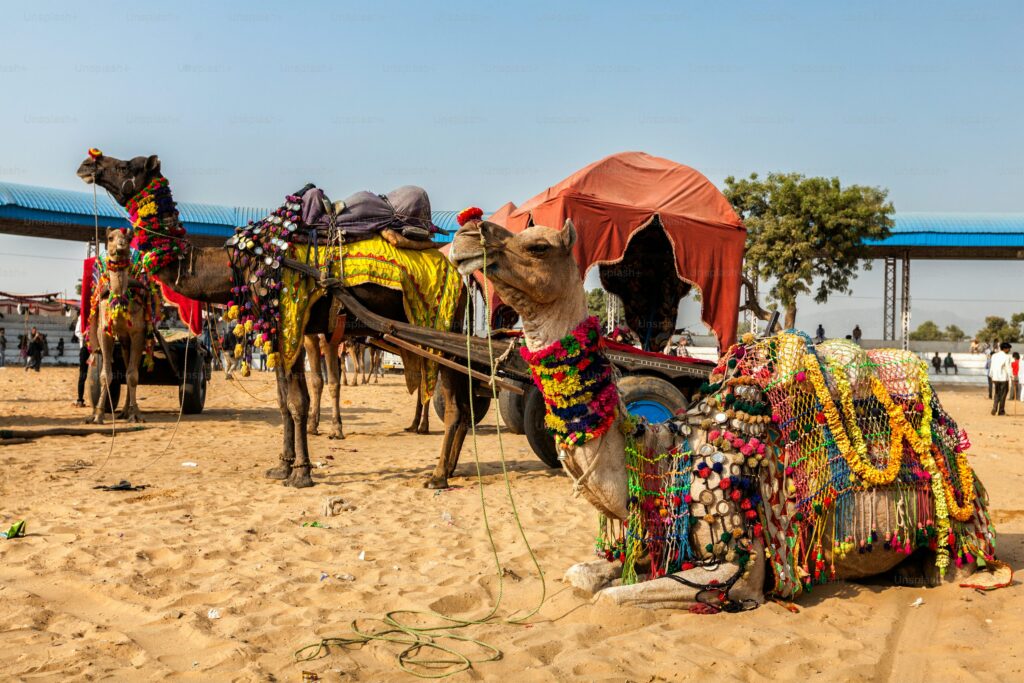 Pushkar Fair – Experience the Cultural Extravaganza and Traditional Events