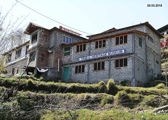 Tribal Heritage Museum – Showcasing the Culture of Local Tribes